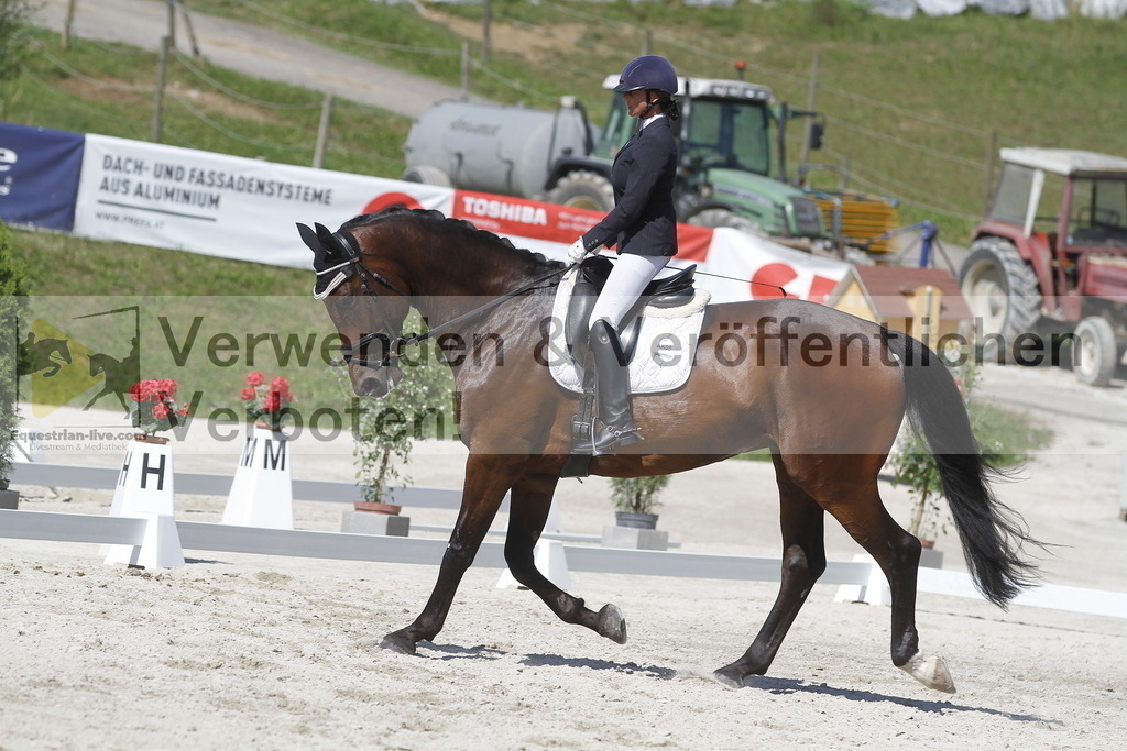 _MG_0044 | equestrian-live-com