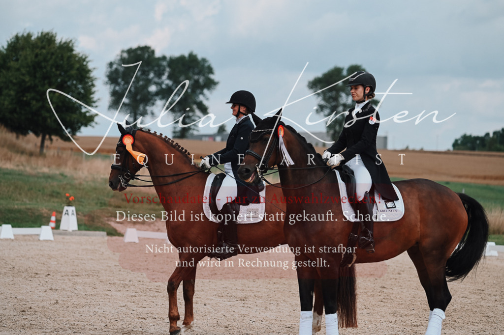 DSC_4132 | Pferde- und Turnierfotografie in Westsachsen. Pferdeportraits, Auftragszeichnungen und intuitive Kunst.