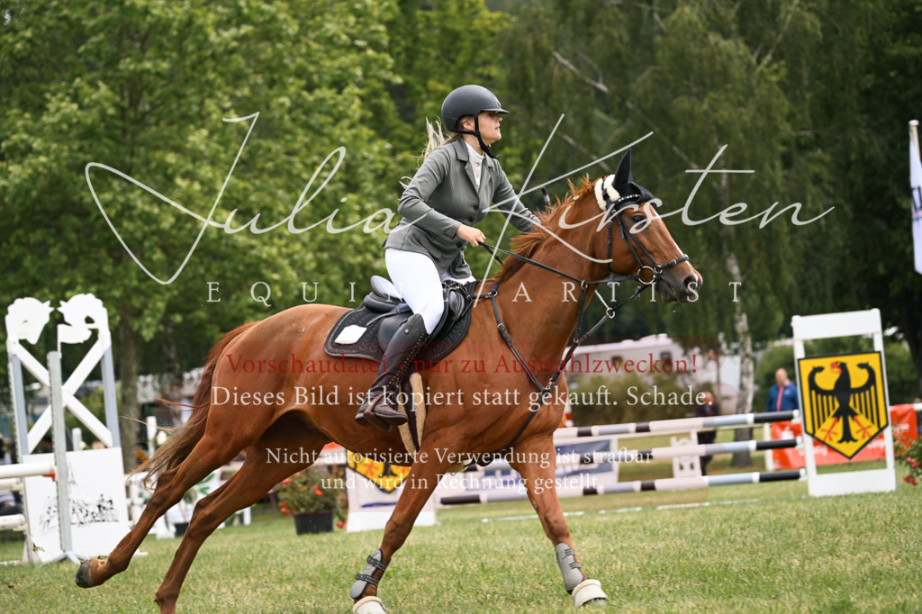 DSC_9124 | Pferde- und Turnierfotografie in Westsachsen. Pferdeportraits, Auftragszeichnungen und intuitive Kunst.