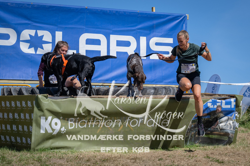 1253_ZZ97206 | kk-dogfotos