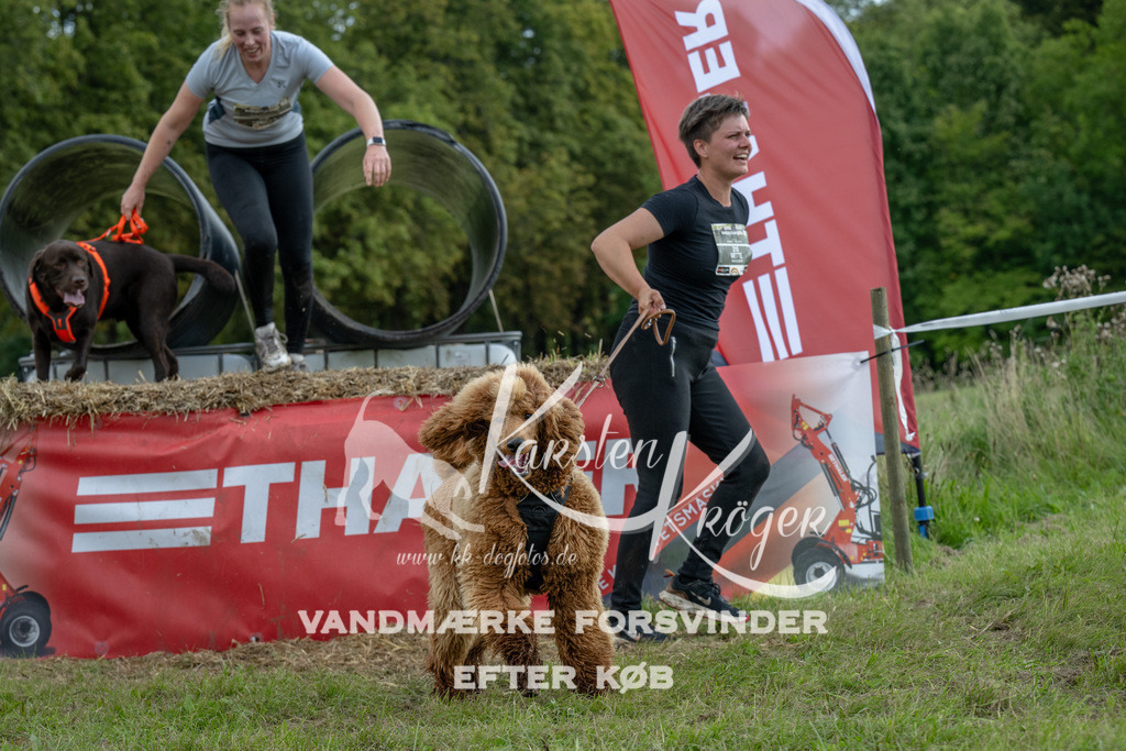 1021_ZZ91879 | kk-dogfotos