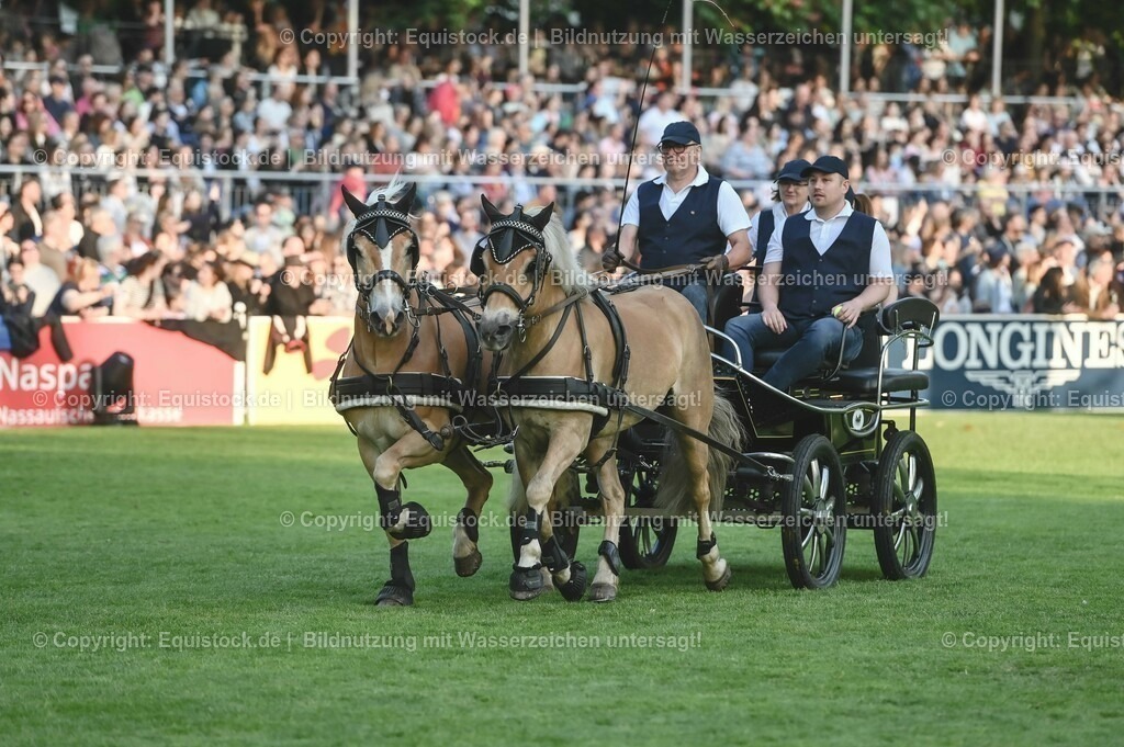 20230526_Pferdenacht_0177 | equistock