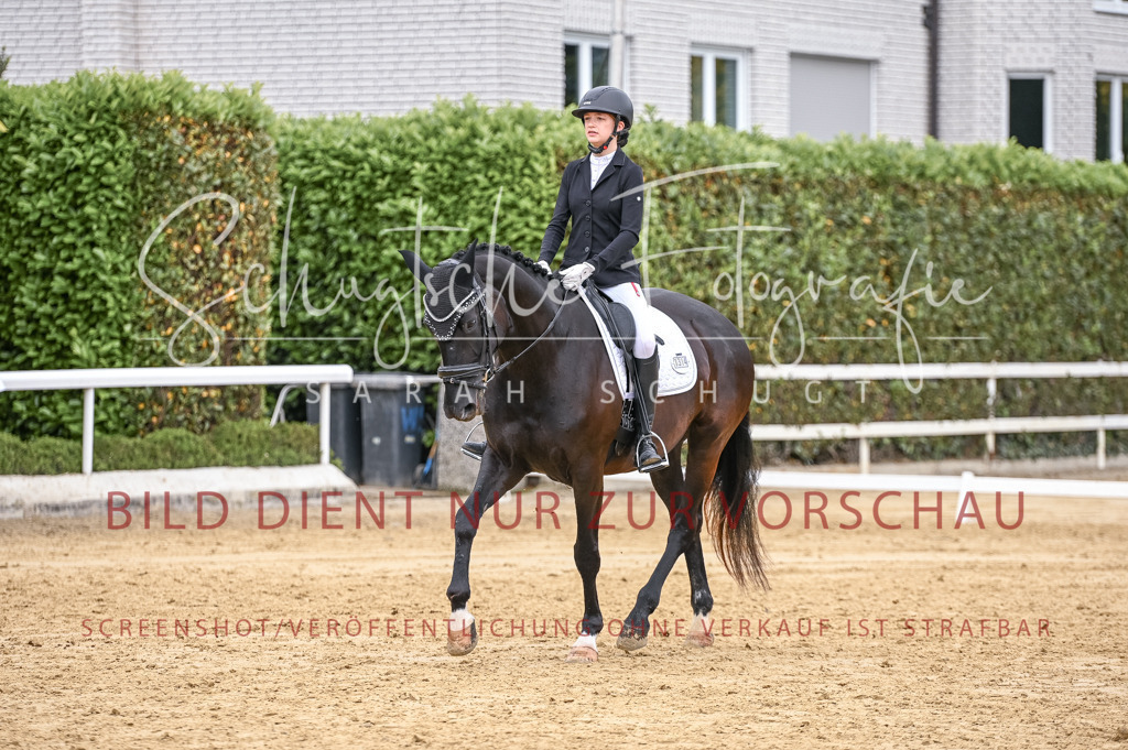 Schugtsche-Aluta25-43.EDressur -90 | Schugtsche Fotografie - Realisiert mit Pictrs.com