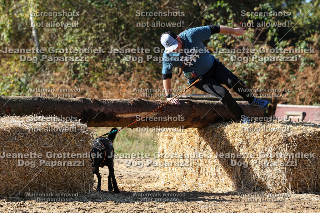 Dog Paparazzi - Strongdog 10-25-2830 | Dog Paparazzi Jeanette Grottendiek Fotografie & Videografie - Realisiert mit Pictrs.com