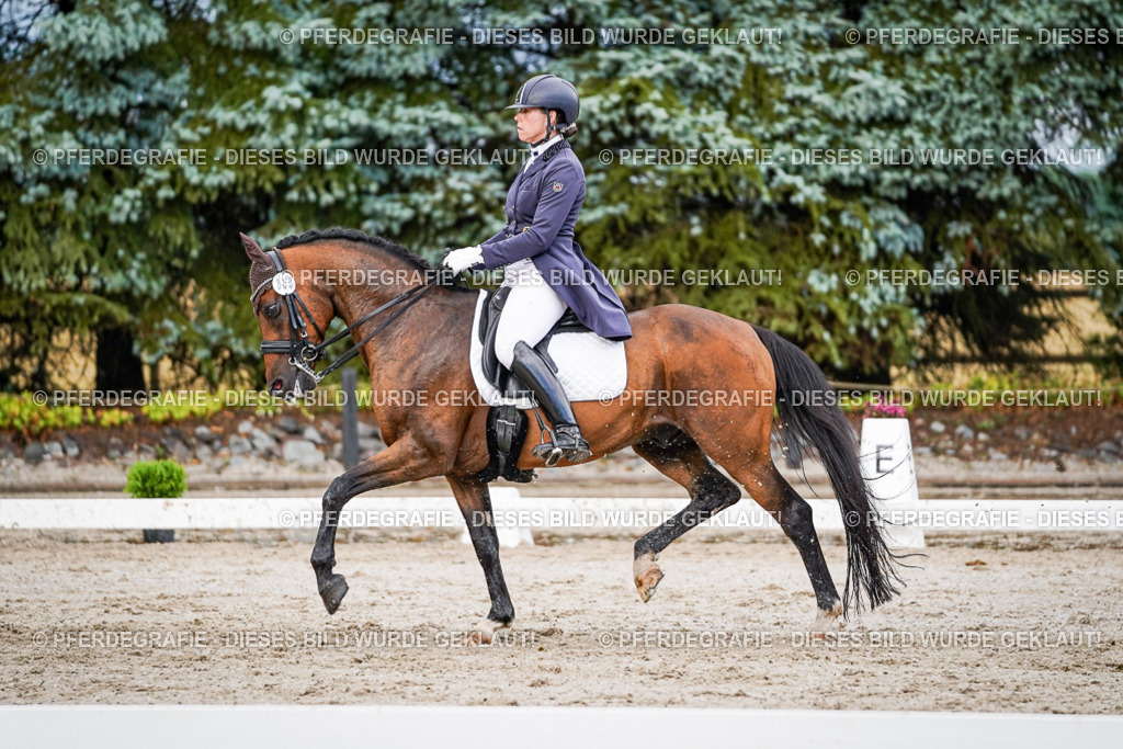 DSC00251 | Pferdegrafie