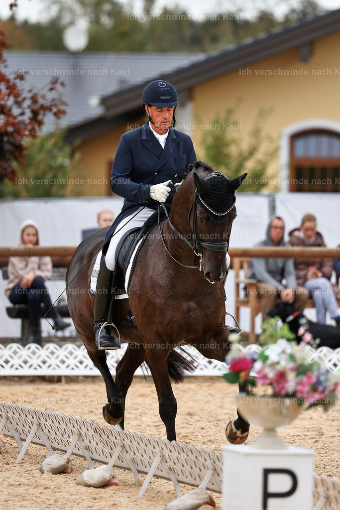 11-058-Dressur S___-StoibPH-1467 | working equitationturnier fotograf videograf stoibphotography marixx film working equitation deutschland reitsport turnierfotografie eventfotografie equestrian events