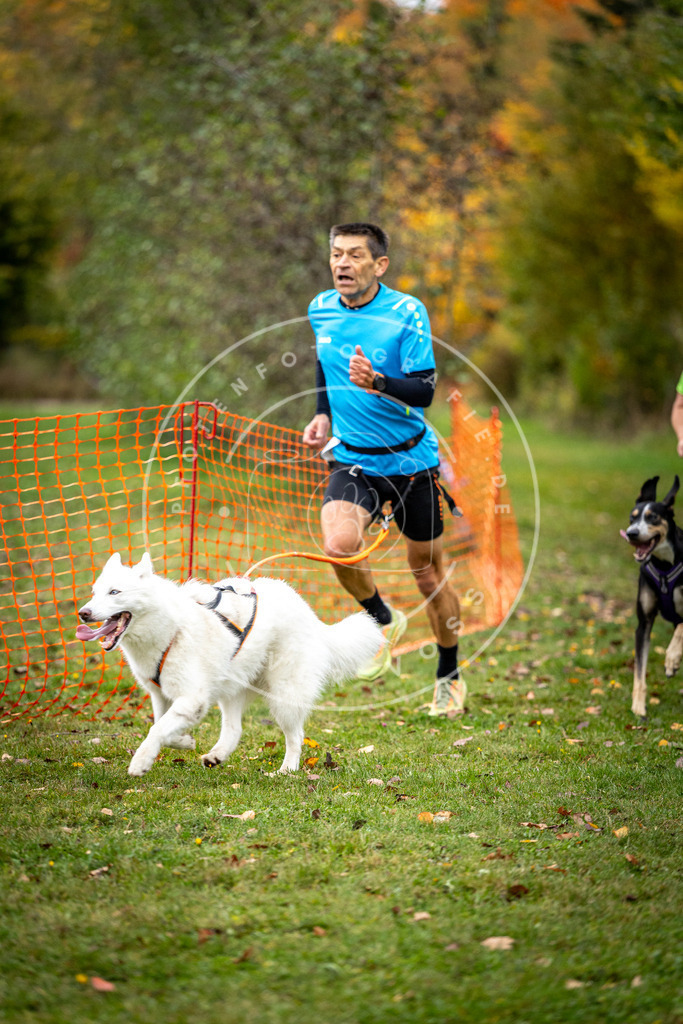 Pfotenfotografie_DV3A2061 | Hundefotografie, Tierfotograf, Pfotenfotografie, Fotoshooting Hund, Hunde Portrait, Hundesport, Hundeportraits, Heideshooting, Hunde, Sportfotograf, Hundefotograf, Turnierhundsport, THS,  - Realisiert mit Pictrs.com