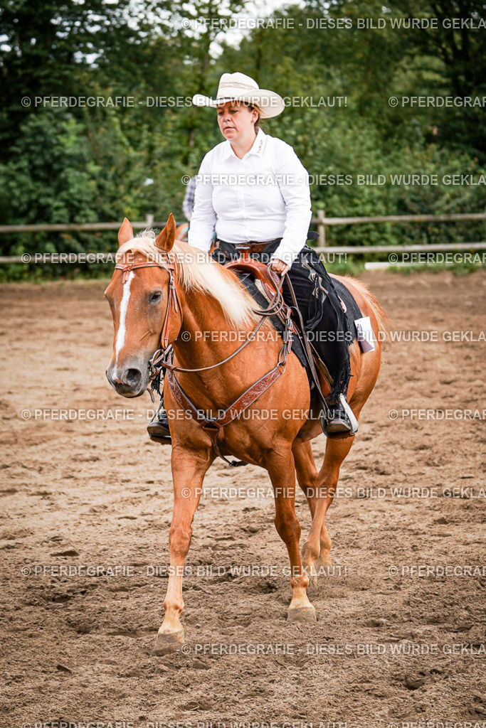 DSC08613 | Pferdegrafie