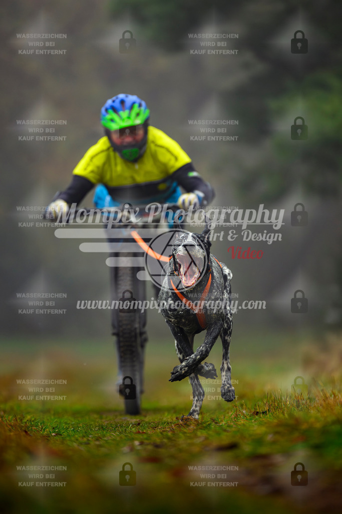 MompixPhotography_Bischwiller2025_Scooter-50 | mompixphotography