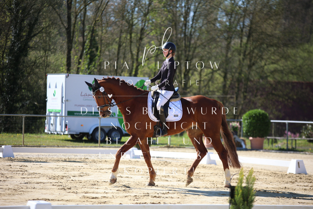 IMGT9400 | pl-fotografie