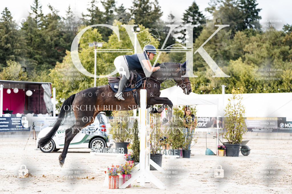 CK903724 | Turnierfotografie Pferdefotografie Trier Rheinland-Pfalz Pferdesport Reitsport Tierfotografie Sportfotografie Pferdevideo Pferdevideografie Equestrianvideography equestrianphotography  - Realisiert mit Pictrs.com