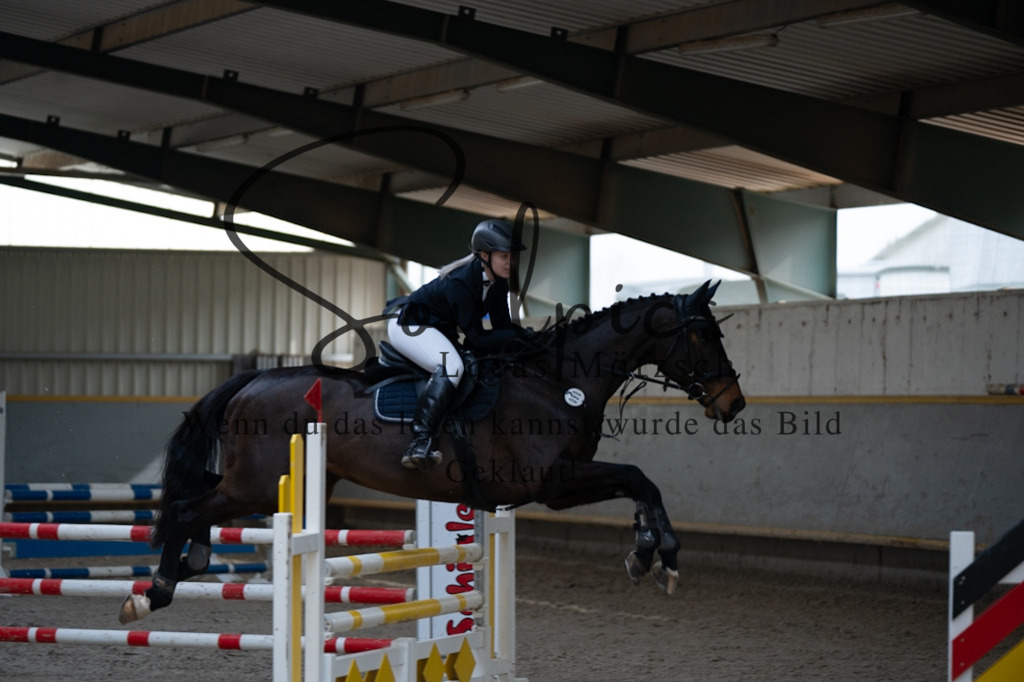 A7V08328 | Pferdefotograf