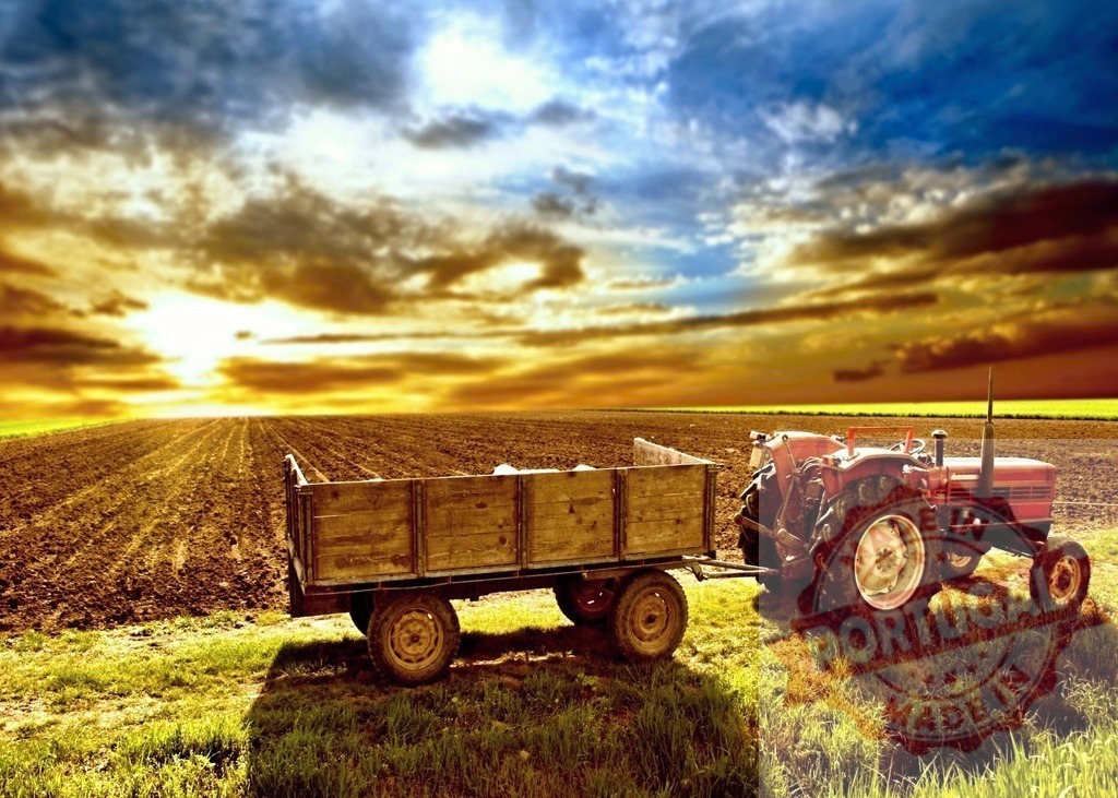 Red farm tractor with trailer standing in field at sunset | Old farm tractor and trailer resting in a field with dramatic sky at golden hour - Realisiert mit Pictrs.com