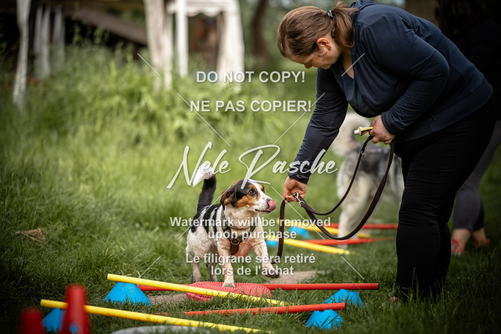 nelerasche_So-earlydog_42 | nelerasche