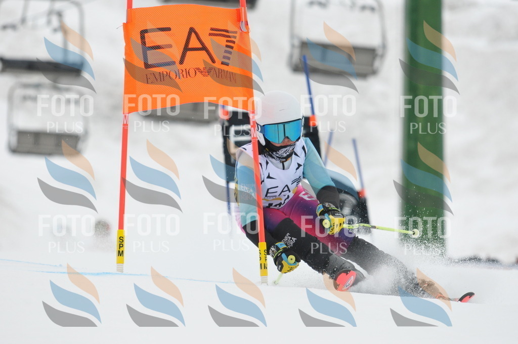 DSC_8883 | holidayphoto