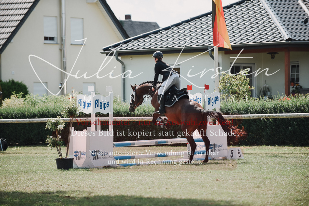 DSC_5783 | Pferde- und Turnierfotografie in Westsachsen. Pferdeportraits, Auftragszeichnungen und intuitive Kunst.