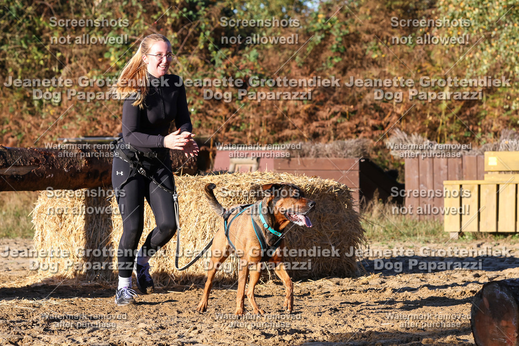 Dog Paparazzi - Strongdog 10-25-1192 | Dog Paparazzi Jeanette Grottendiek Fotografie & Videografie - Realisiert mit Pictrs.com