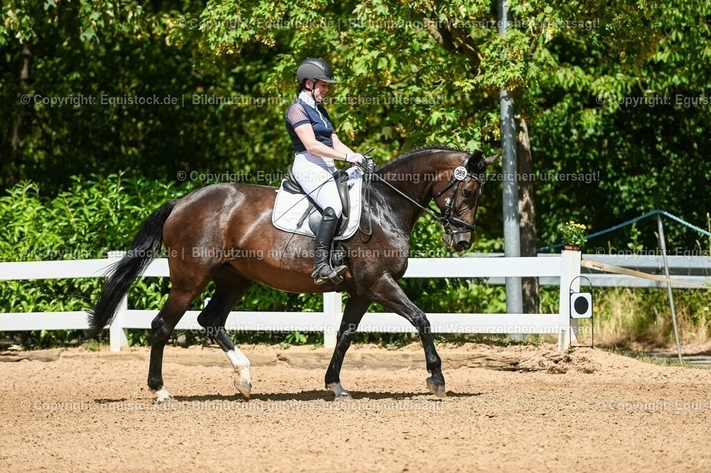 20230715_02_Dressurreiterprüfung Kl.L_0103 | equistock