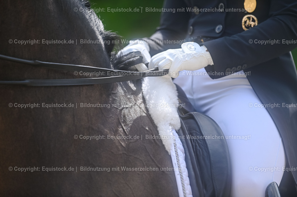 20250607_1_GP-Tour_Dressage_0147 | Foto: Thomas Hartig