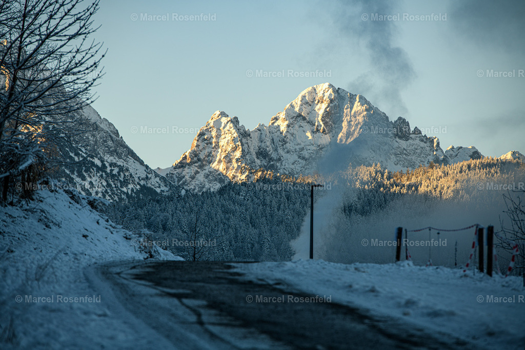 _DSC4532 | foto-rosenfeld