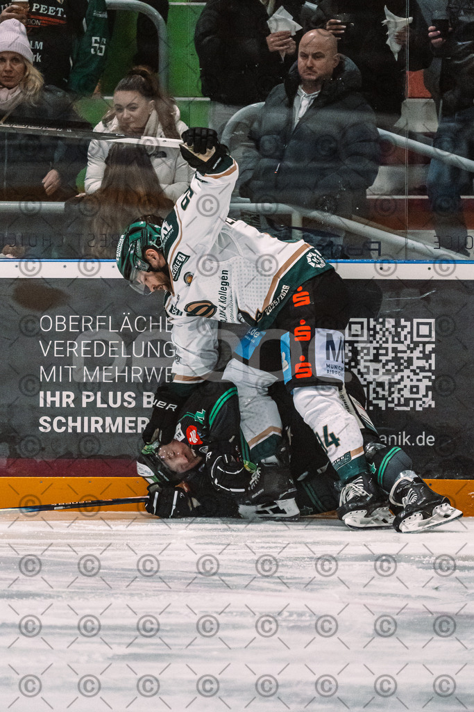 Alligators_vs_Erding_12_12_2025-170 | Höchstadt Alligators Fotogalerie: Eishockey-Action aus Franken. Professionelle Spielfotos, Portraits & Stadionbilder zum Download. Jetzt entdecken! - Realisiert mit Pictrs.com