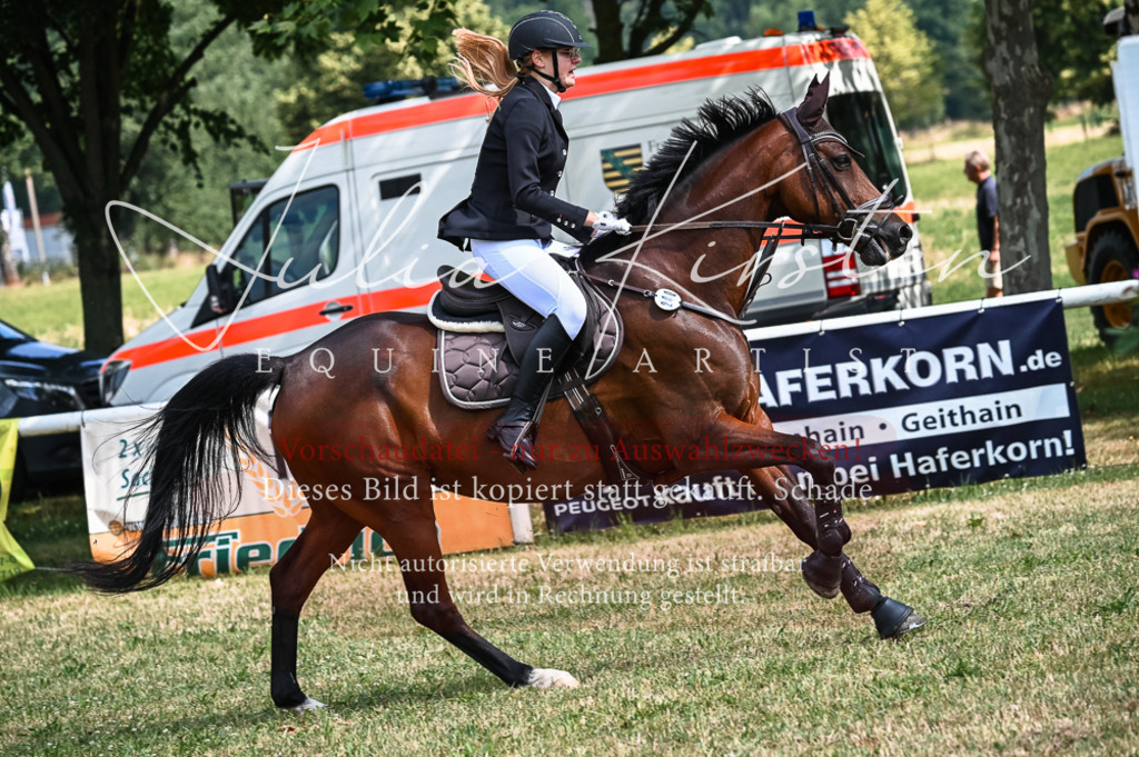 DSC_8492 | Pferde- und Turnierfotografie in Westsachsen. Pferdeportraits, Auftragszeichnungen und intuitive Kunst.