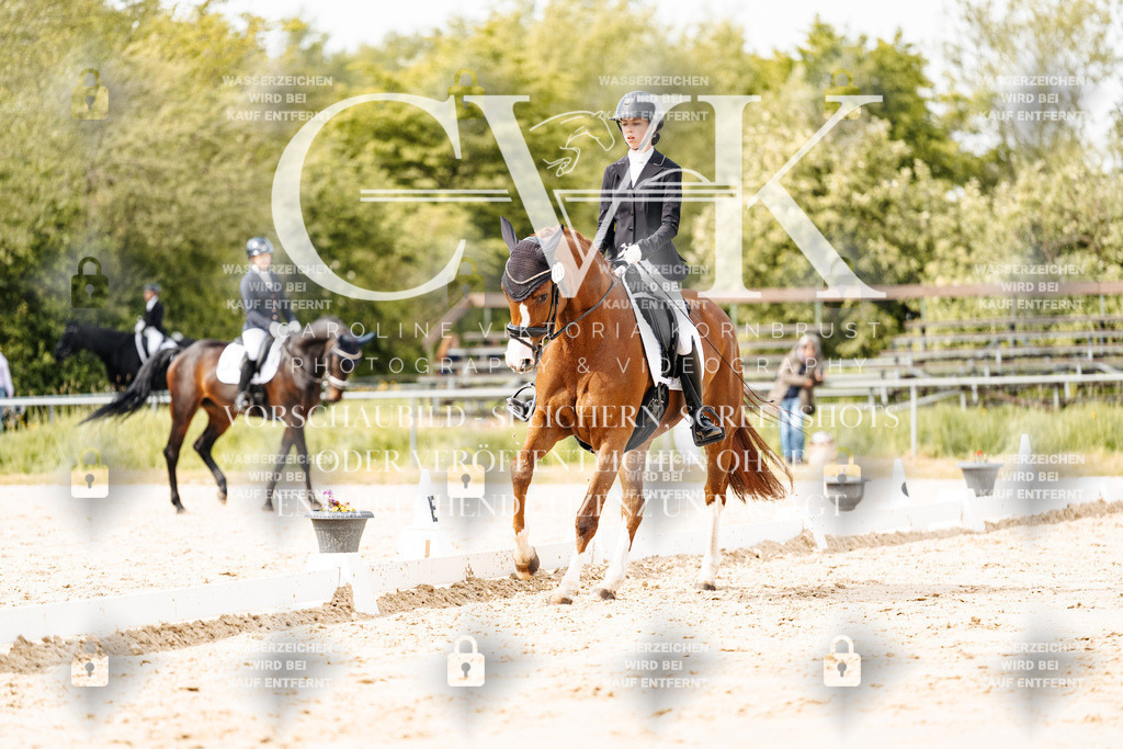 CK901134 | Turnierfotografie Pferdefotografie Trier Rheinland-Pfalz Pferdesport Reitsport Tierfotografie Sportfotografie Pferdevideo Pferdevideografie Equestrianvideography equestrianphotography  - Realisiert mit Pictrs.com