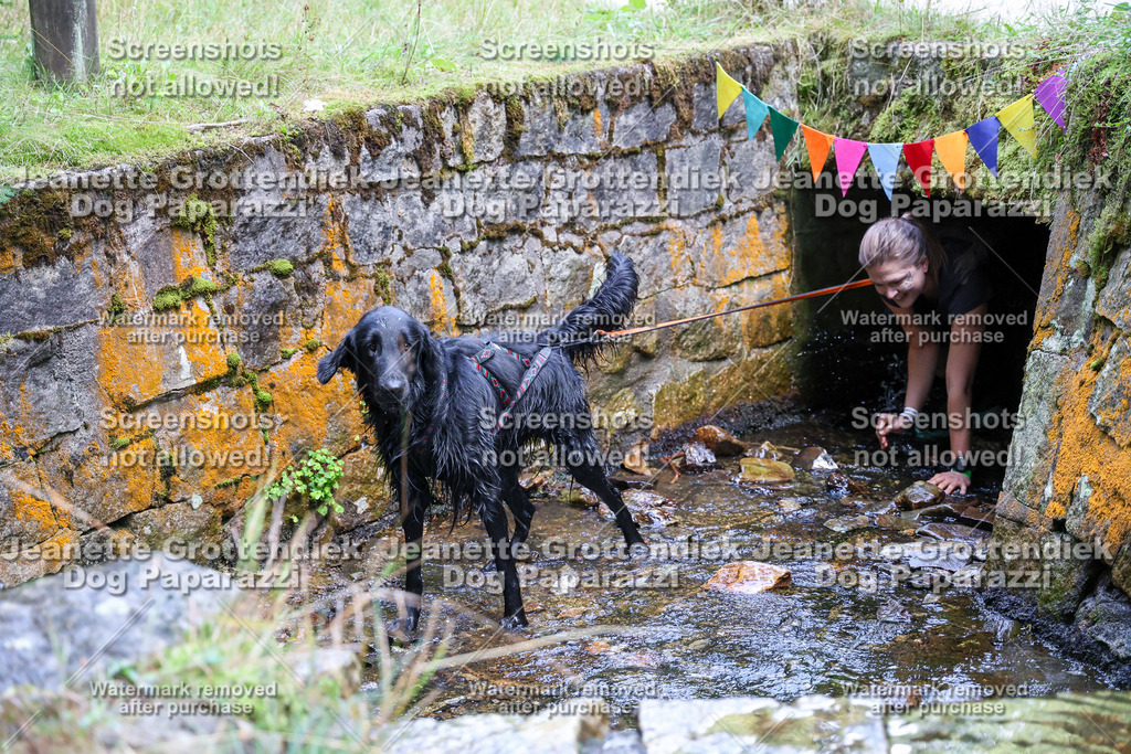 Dog Paparazzi -  TH 26-571 | Dog Paparazzi Jeanette Grottendiek Fotografie & Videografie - Realisiert mit Pictrs.com