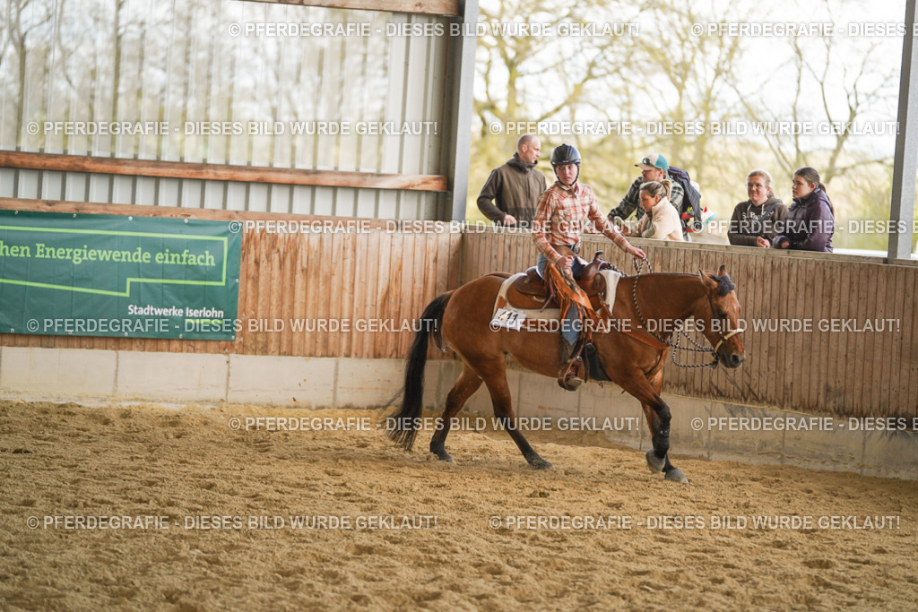 DSC08894 | Pferdegrafie