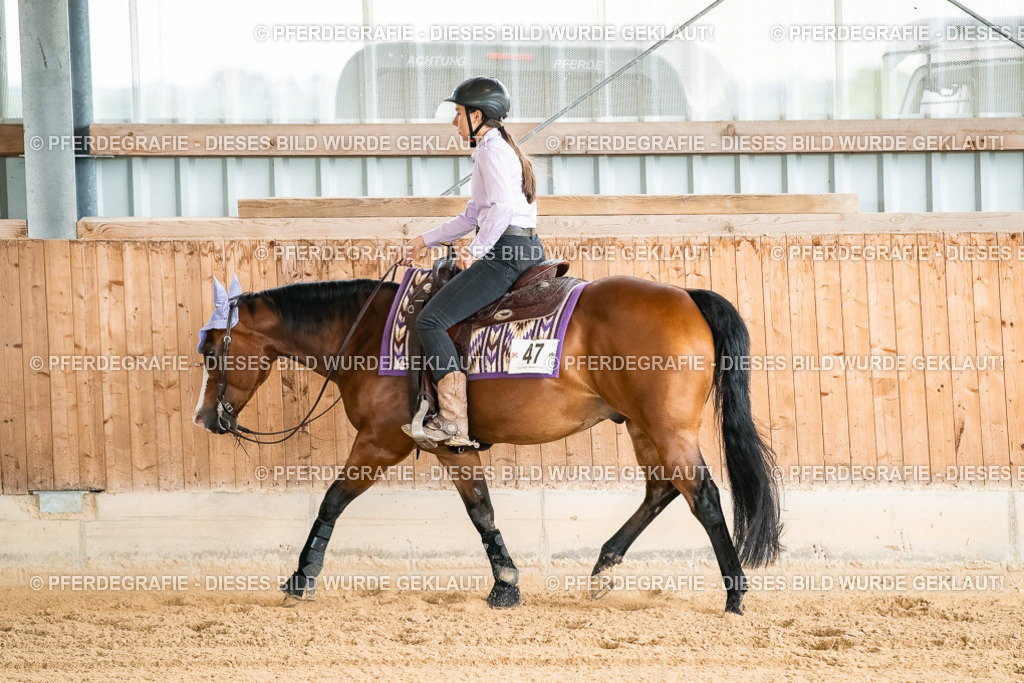 DSC01961 | Pferdegrafie