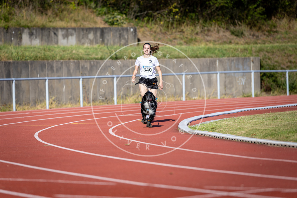 Pfotenfotografie_DV3A7964 | Hundefotografie, Tierfotograf, Pfotenfotografie, Fotoshooting Hund, Hunde Portrait, Hundesport, Hundeportraits, Heideshooting, Hunde, Sportfotograf, Hundefotograf, Turnierhundsport, THS,  - Realisiert mit Pictrs.com