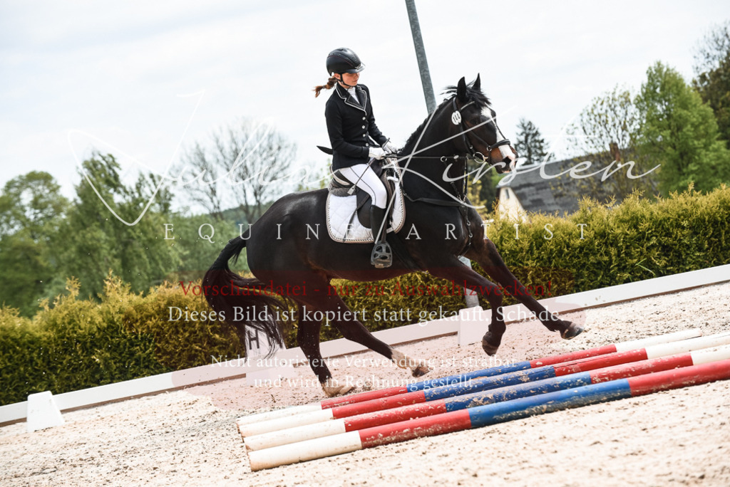 20230518_JK-Röhrsdorf-10-843 | Pferde- und Turnierfotografie in Westsachsen. Pferdeportraits, Auftragszeichnungen und intuitive Kunst.