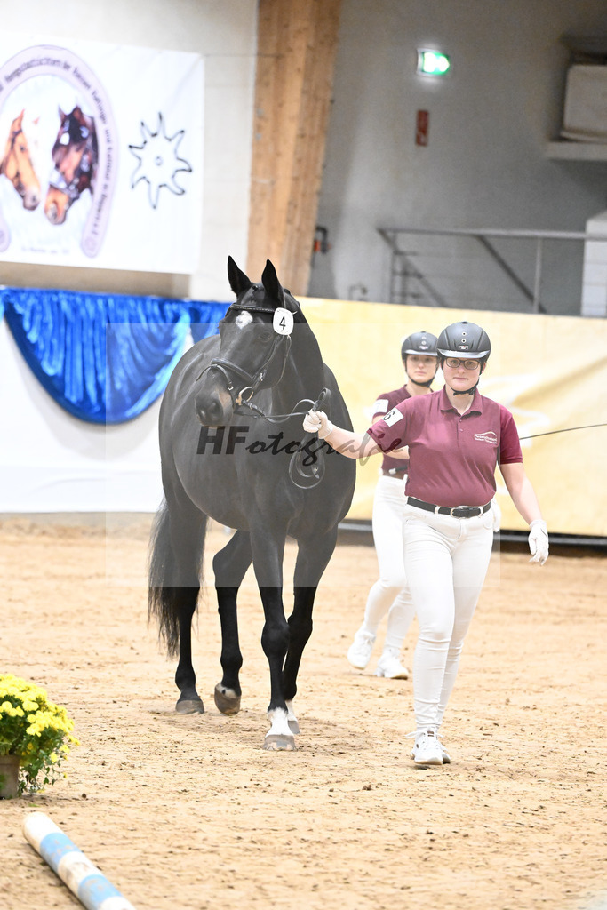 Jungzuechter_48250767 | hf-fotografie - Realisiert mit Pictrs.com