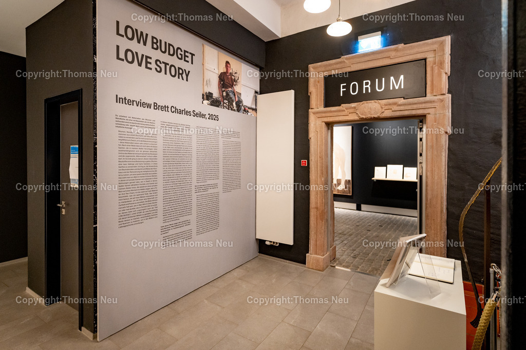 DSC_7327 | Museum der Stadt Bensheium, Brett Seiler - Low Budget – Love Story,, Bild: Thomas Neu