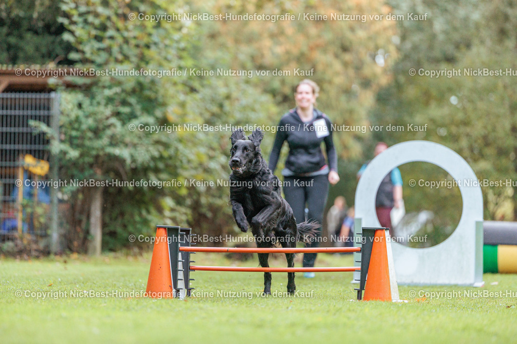 THS-HSV-Blumenthal-2026-Nickbest-Hundefotografie-1654 | Dein Hund! Dein Moment! Deine Erinnerungen! Hundefotografie in Bremen Blumenthal. Ich fange die besonderen Momente deines Vierbeiners ein – ob Indoor mit Blitzanlage oder in der freien Natur. Sicher dir dein Moment und dein Termin für eure Erinnerungen.