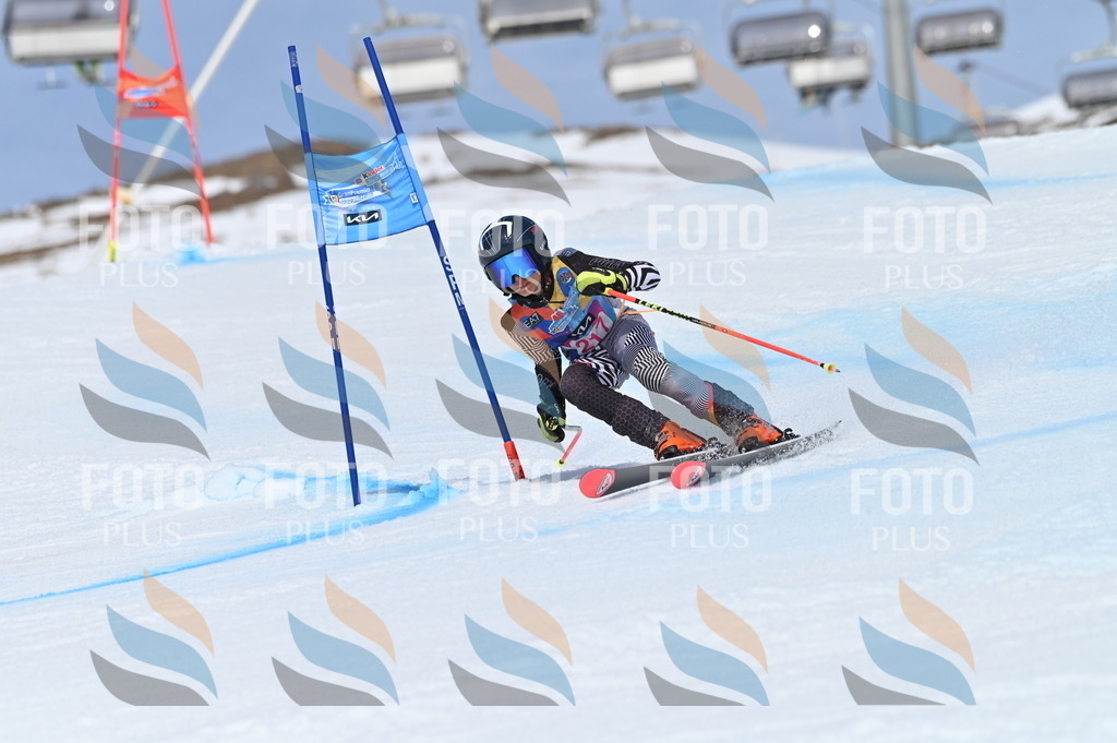 BGV_1260 | holidayphoto