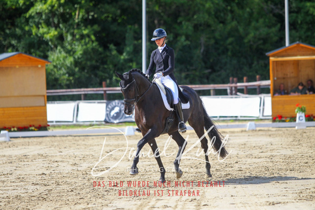 DKP46543 | Turniersportfotografie; Pferdefotografie; Dressurfotografie