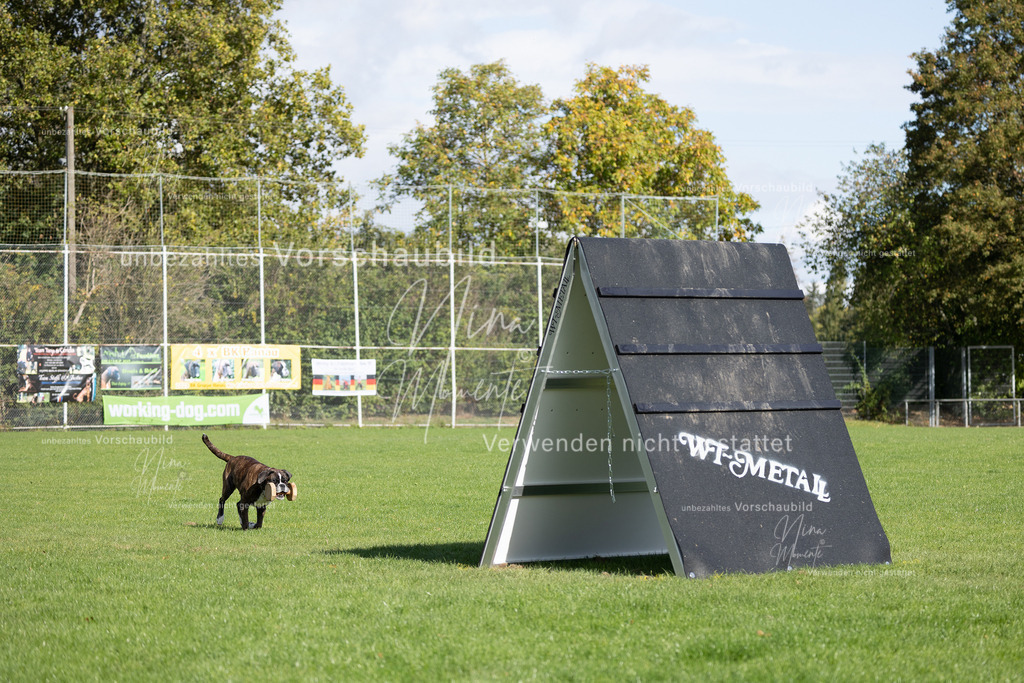_16A6995 | Einzigartige Fotos von Hunden & Menschen –Actionfotos, Portraits, Vereinsaufnahmen & Paarshootings – authentisch, lebendig & mit Herz.