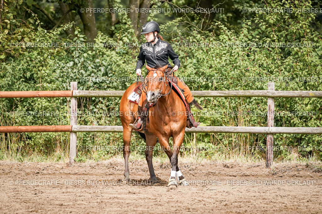 DSC07614 | Pferdegrafie