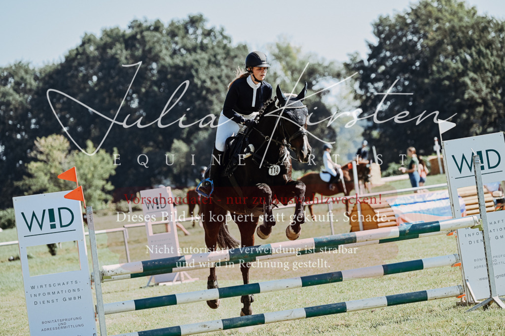 DSC_5757 | Pferde- und Turnierfotografie in Westsachsen. Pferdeportraits, Auftragszeichnungen und intuitive Kunst.