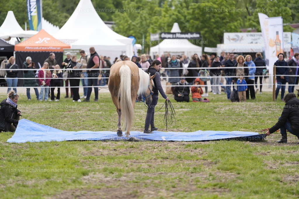 PI26_Show_BTS_StoibphotographyPI26_Show_BTS_Stoibph_DSC0979.JPG.JPG | working equitationturnier fotograf videograf stoibphotography marixx film working equitation deutschland reitsport turnierfotografie eventfotografie equestrian events