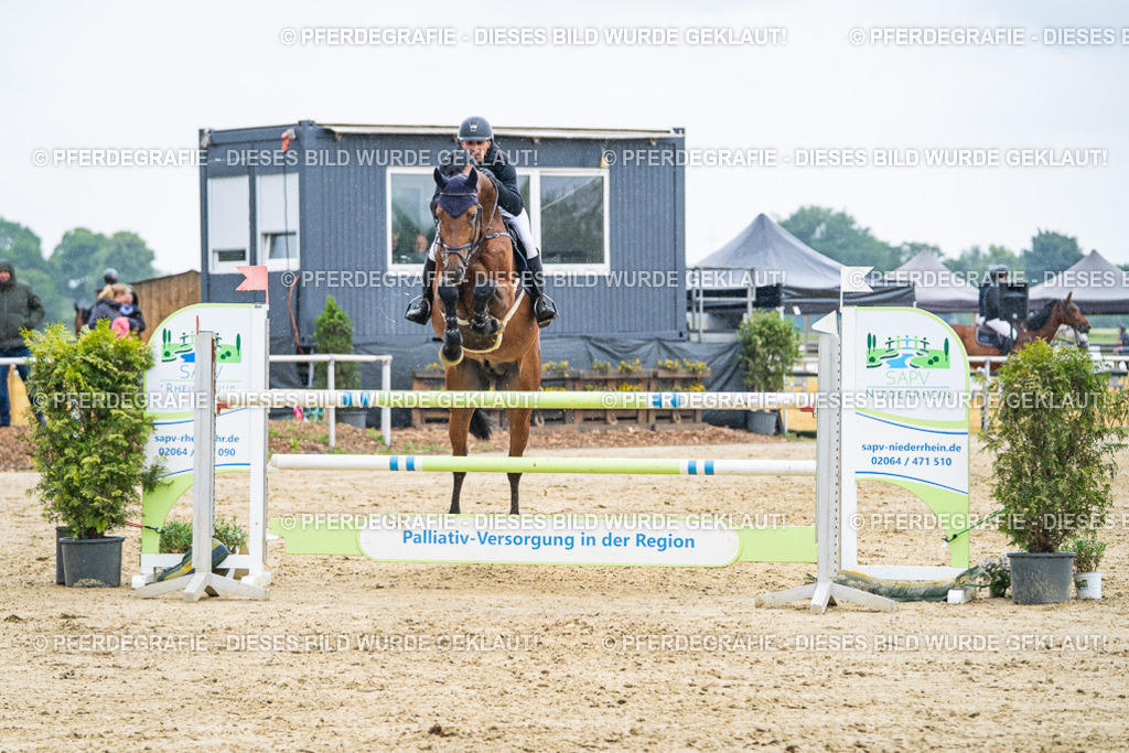 DSC09641 | Pferdegrafie