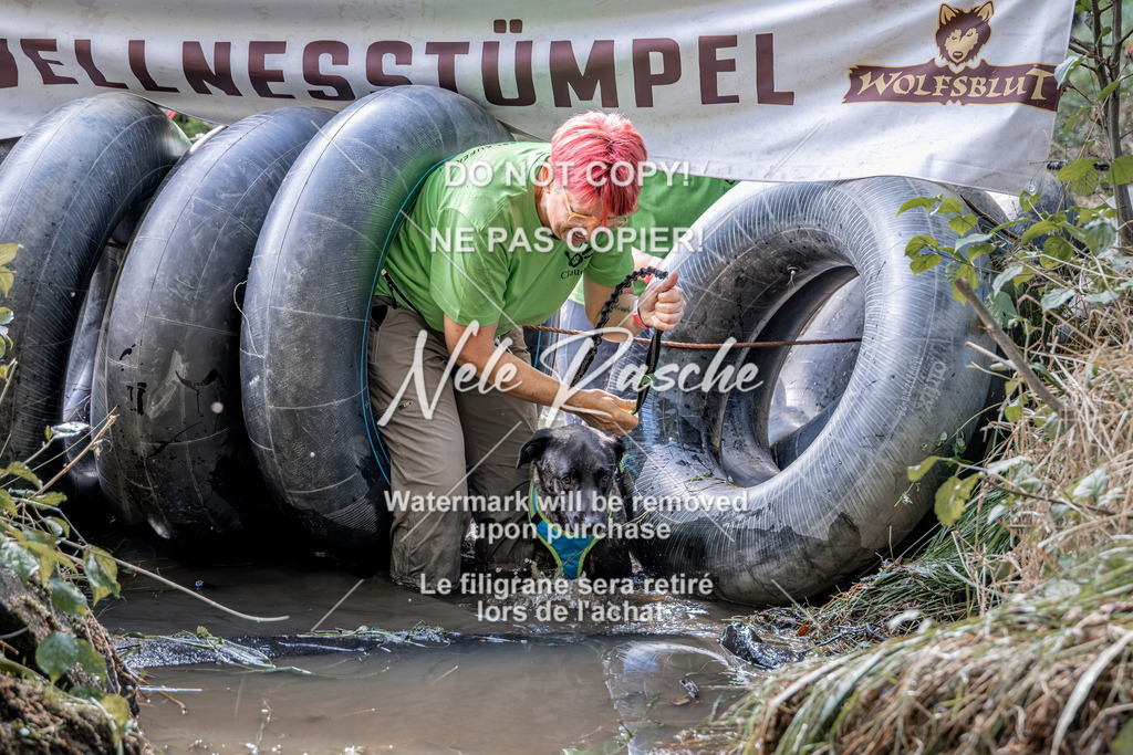 nelerasche_Hunsrück2026_Sa1400-1500_51 | nelerasche