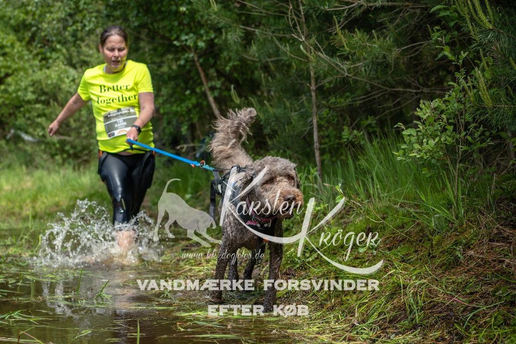 1224DKK992731 | kk-dogfotos