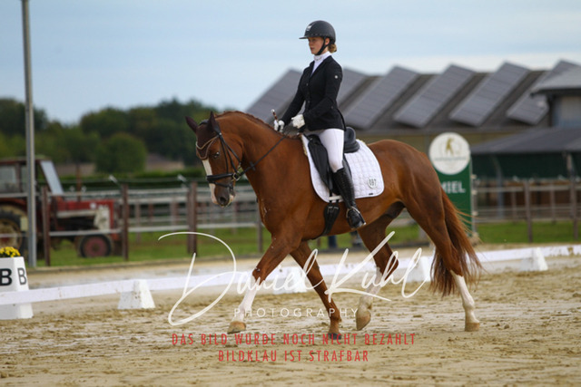 DKP43622 | Turniersportfotografie; Pferdefotografie; Dressurfotografie