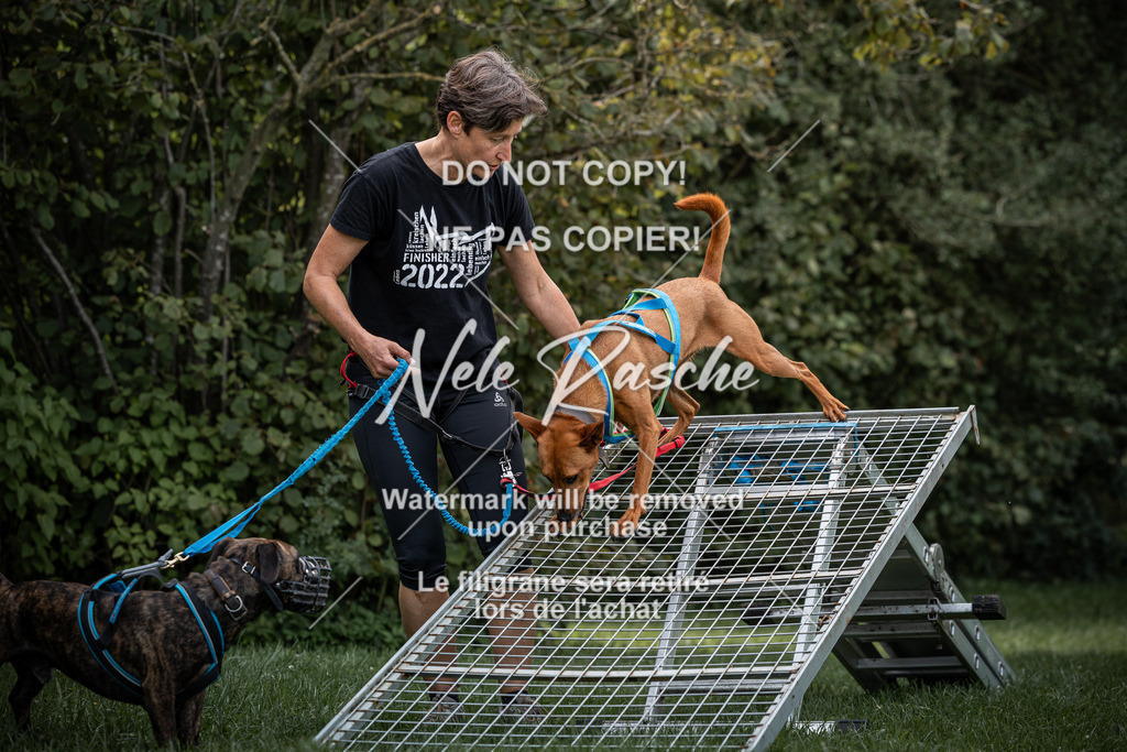 nelerasche_SoLauf_86 | nelerasche