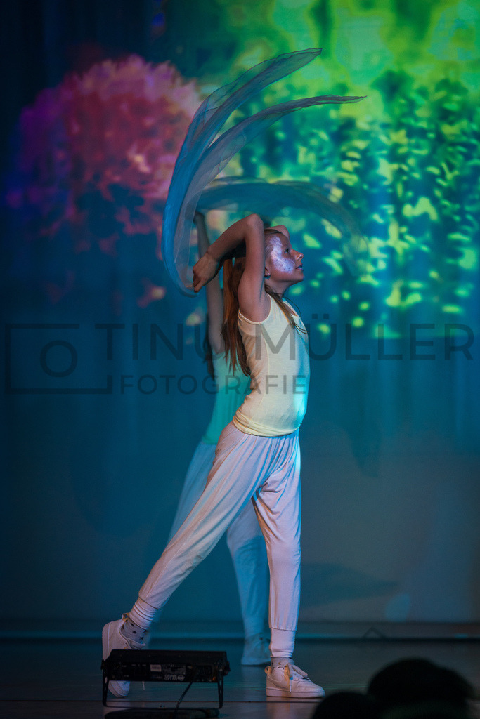 _DSC2233 | Tinu Müller Fotografie- Bildershop - Realisiert mit Pictrs.com