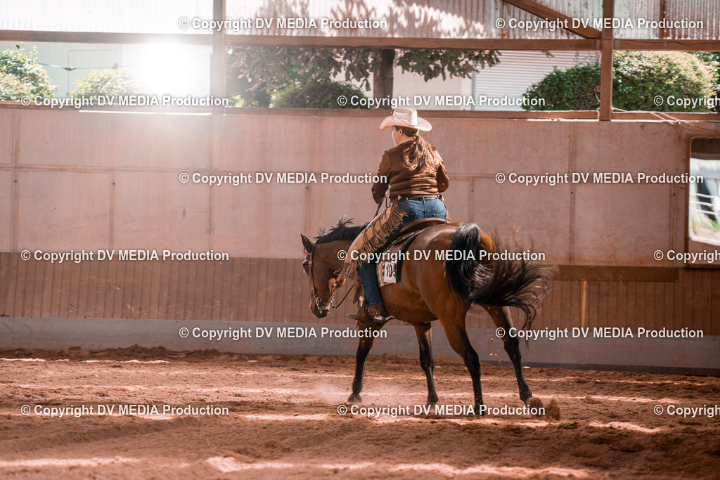 NE100755 | dv-media-shop - Realisiert mit Pictrs.com