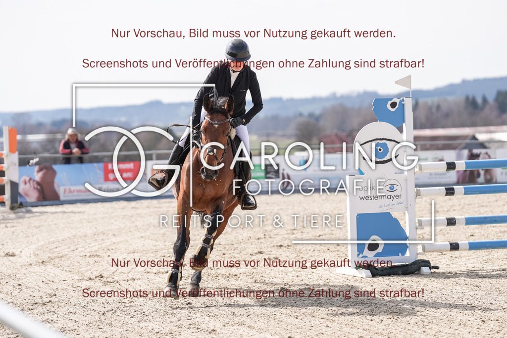 DSC06066 | Late_entry_Springturnier_Bad_Wurzach, Deanerys_HH, Svenja_Staudacher