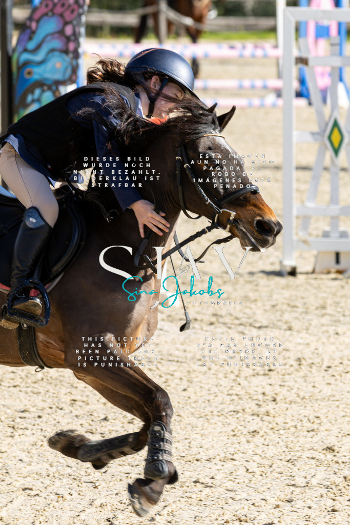 IMG_3586 | s-jay-photography - Realisiert mit Pictrs.com